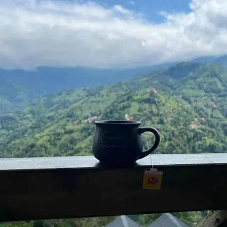Relax Dag Evleri,ayder Yaylasi 住宿加早餐酒店 Dikkaya (Rize)
